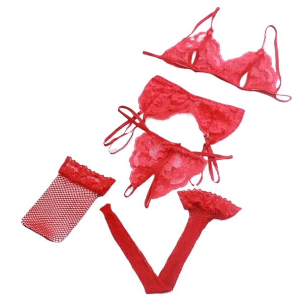 Lace Women Lingerie Set 4 Pcs  - Sheer Mesh Bra recensione e prezzo